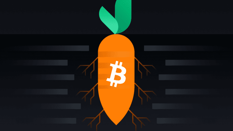 Atualização do Bitcoin Taproot: O Que Isso Significa